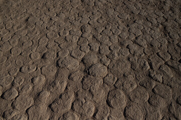 Wüstenperspektive - wo einmal das Wasser floss