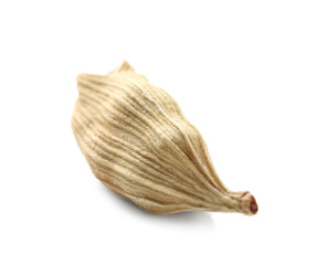Cardamom seed isolated on white