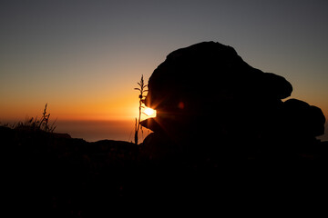 Obraz premium Steinfisch Silhouette im Sonnenuntergang