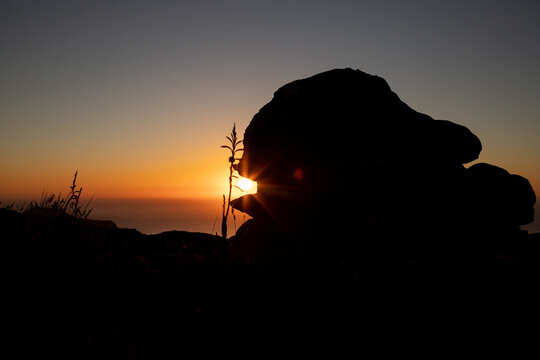 Steinfisch Silhouette im Sonnenuntergang