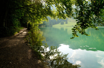 a scenic alpine view with alpine lake Alatsee and green trees reflected in its emerald-green water on an August day in Bad Faulenbach in the Bavarian Alps (Bavaria, Fuessen, Bad Faulenbach, Germany)