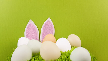 rabbit ears and multicolored eggs of natural color on green real grass on a blue background