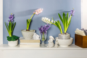 Fototapeta na wymiar White hyacinth in large porcelain bowl, figurines of hares and a bird, are on the fireplace against the dark blue wall. Layout. Spring concept