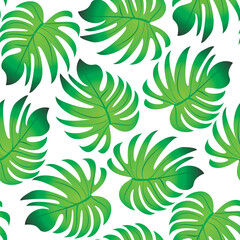 Palm. Seamless pattern with branches and leaves of tropical plants.Vector image. 