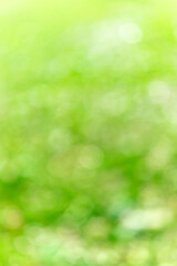 Fototapeta na wymiar Spring background - abstract nature background with green blurred bokeh lights -