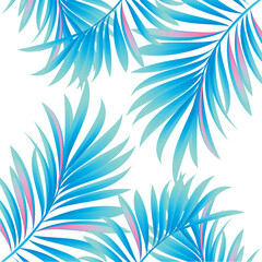 Fototapeta na wymiar Palm. Vector image with branches and leaves of tropical plants. 