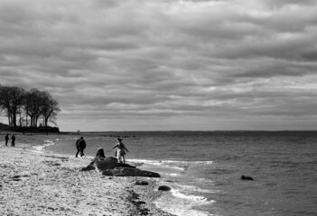 Grayscale landscape of a coast on a windy day