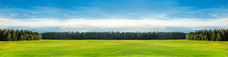 A bright green field, in the distance a forest and a clear blue sky.