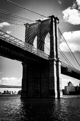 Fototapeta premium Brooklyn Bridge