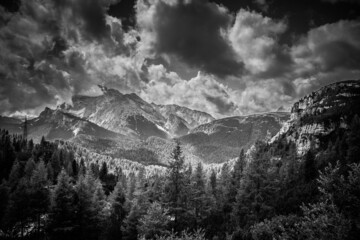 Grayscale of pine forest near Tre Cime di Lavaredo in the Sexten Dolomites of northeastern Italy