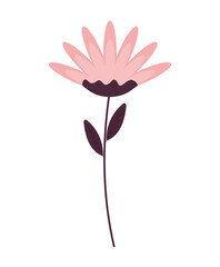 pink flower design