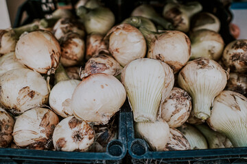 garlic in the market in lisbon portugal