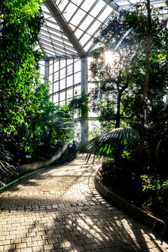 path in the botanical garden with warm sunlight © PHAT
