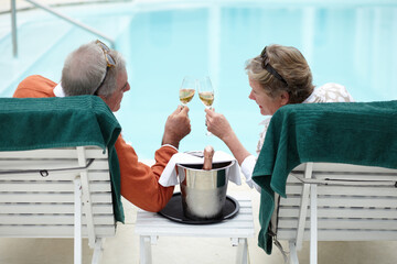 To the good life. Rearview shot of a senior couple toasting while on vacation.