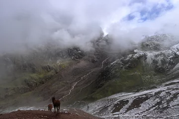 Plaid mouton avec motif Vinicunca Vue du Pérou Vinicunca Rainbow Mountain sous le brouillard et deux chevaux dans les environs