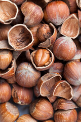 hazelnuts peeled from the shell