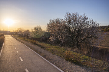Fototapeta premium road in the countryside