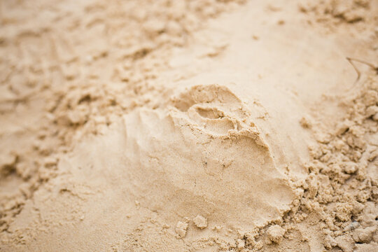 Close up photo with selective focus: vagina sculpture made of sand.