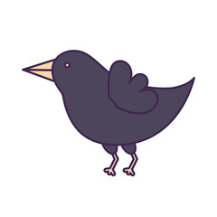 cute black crow