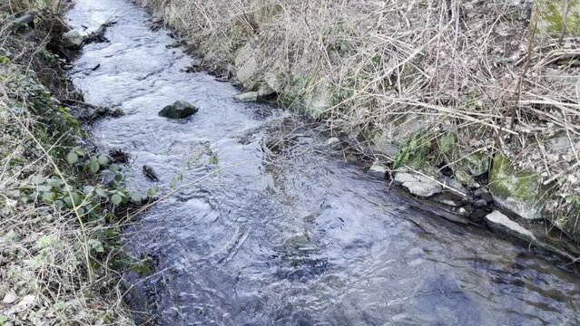 Small river flowing noisily with a big flow among rocks, branches and grass, between trees in the forest, on a sunny winter day. Movement from left to right