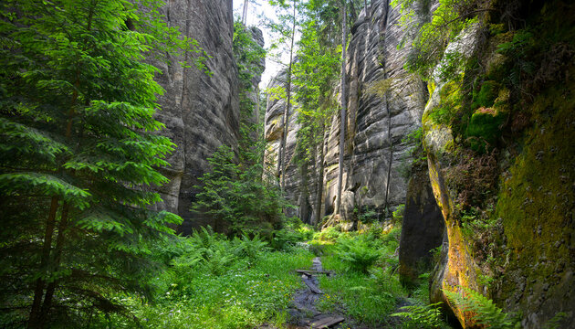 Adrspach beautiful Rock City, built of sandstone, krajobraz, canion