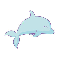 blue dolphin design