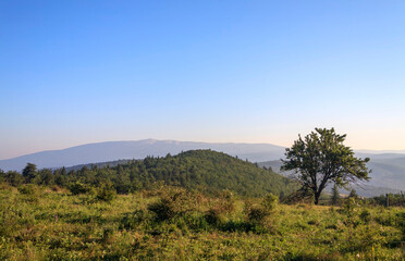 Fototapeta na wymiar Landschaft im Luberon, Provence, Frankreich