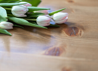 tender tulips lie on a beautiful wooden table with space for text
