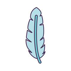 blue feather design