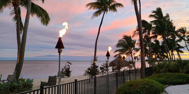 Sunset on the Beach with Palm Trees, Pink Skies and Lit Torches