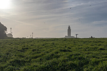 Fototapeta na wymiar Sunrise, park, green grass, birds, tower of Hercules