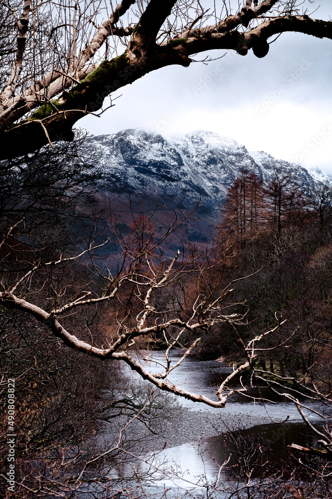 Poster view of the frozen river and trees and snowy mountains in the background