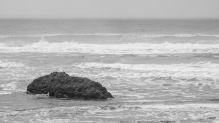 Black and white shot of ocean waves hitting a big rock