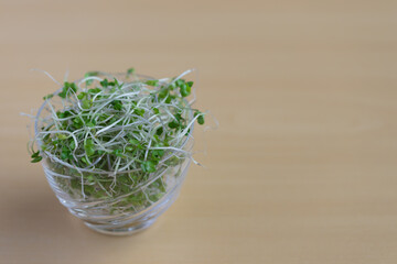 ブロッコリースプラウト