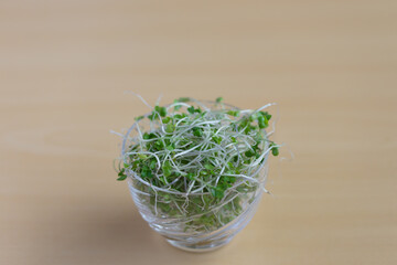 ブロッコリースプラウト