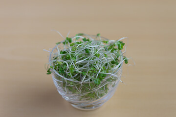 ブロッコリースプラウト