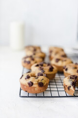 chocolate chip mini doughnuts
