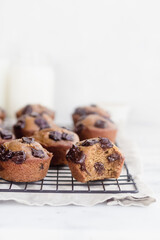 chocolate chip muffins