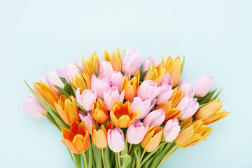 Bouquet of pink and orange tulips on blue background. Mothers Day, Valentines Day, birthday concept