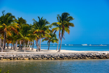Fototapeta premium Wonderful tropical paradise beach with Palm trees
