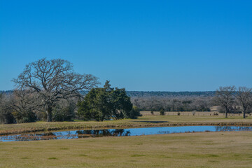 A Pond in a pasture. In the countryside of Texas  © Norm