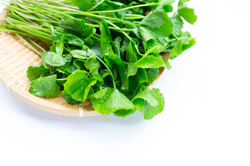 Fresh leaves of gotu kola
