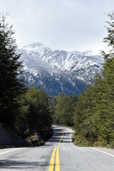Viaje en carretera con paisaje de montaña nevada y bosque tupido.