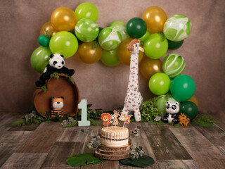 Fantastic safari themed birthday. Birthday ideas for kids. Animal party. Birthday celebration. Baby's first year photoshoot.
