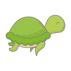 green turtle design