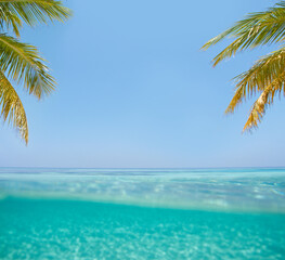 Obraz na płótnie Canvas An island paradise. A beautiful turquoise ocean.
