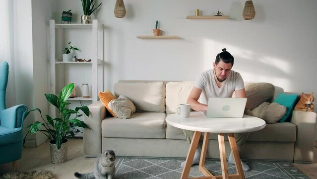 Young Man Using Laptop Typing And Working Sitting On The Couch At Home And Drink Coffee With A Pet Cat