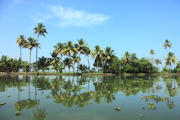 Fototapeta na wymiar Beautiful backwater regions of Kerala, India.