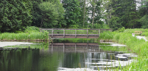 Fototapeta na wymiar Reserve of nature with pond, bench and bridge