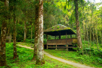 Taiwan, Yilan County, forests, mountain lakes, Mingchi, forests, pavilions for relaxation